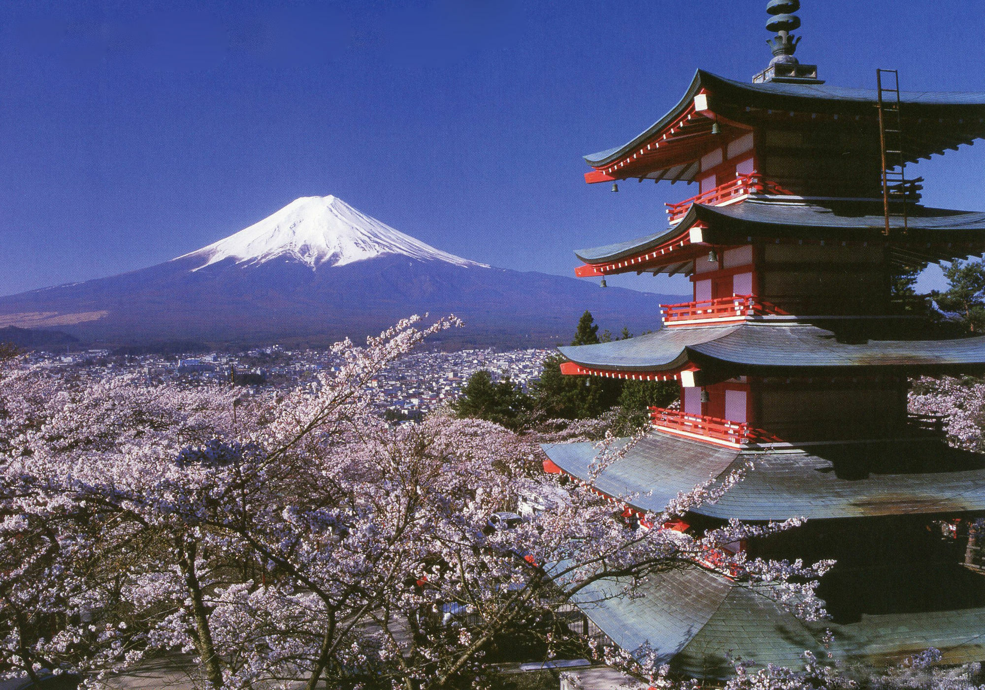 Mt Fuji Hostel Michael'S Fujiyoshida Zewnętrze zdjęcie